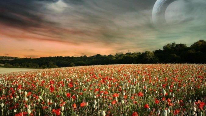 创业公司是否应该使用 Rust ？